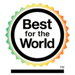 Best for the World logo